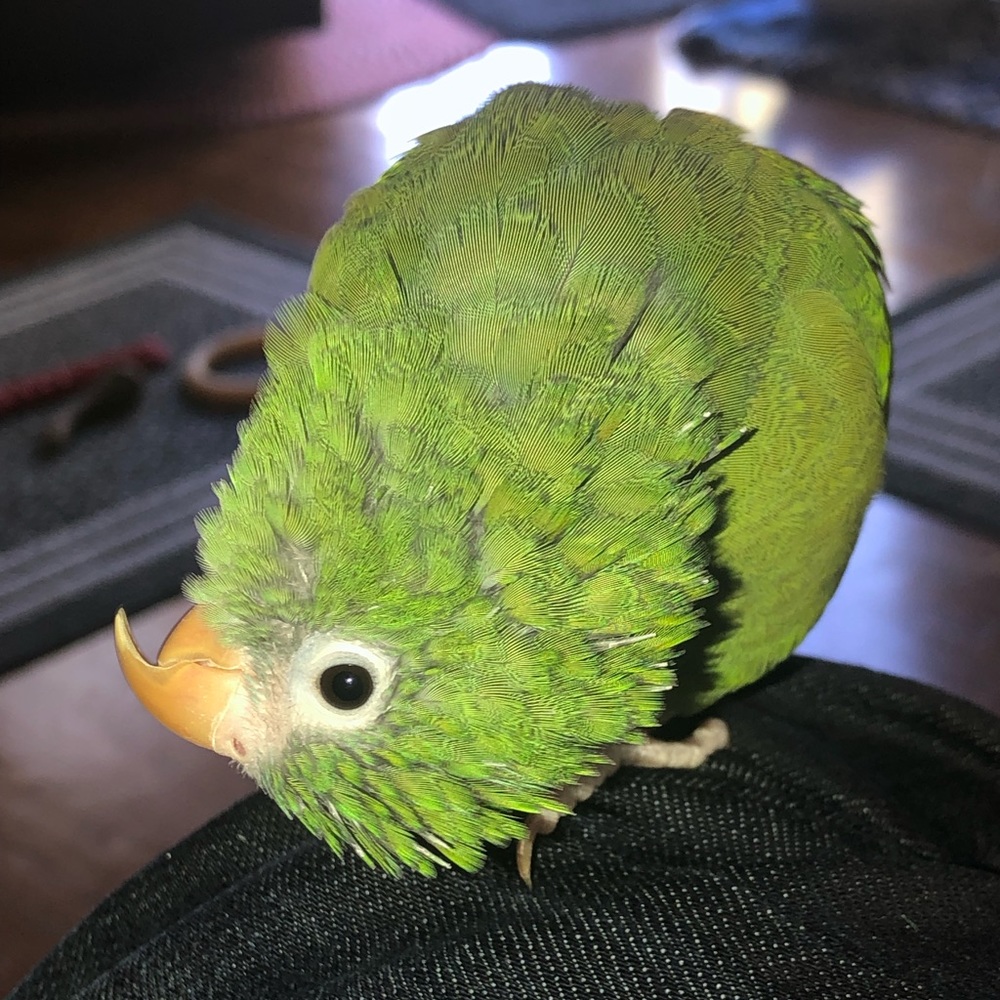 ***A Friday Night Smile***